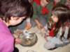 sdc12222_small.jpg