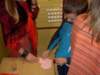 sdc12229_small.jpg