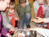 sdc12231_small.jpg