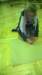 wp_20151126_09_09_43_pro_small.jpg