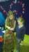 wp_20151126_11_29_57_pro_small.jpg