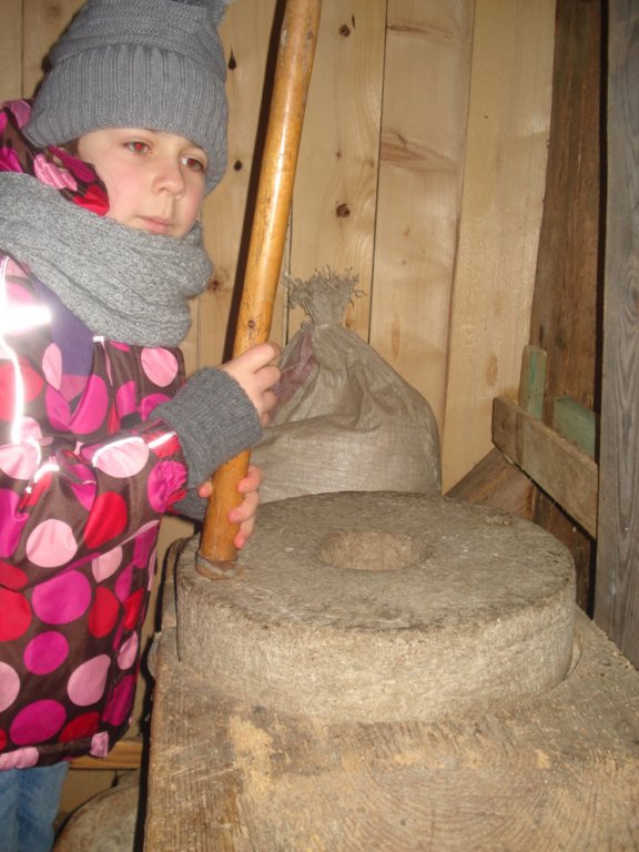 dsc06998.jpg