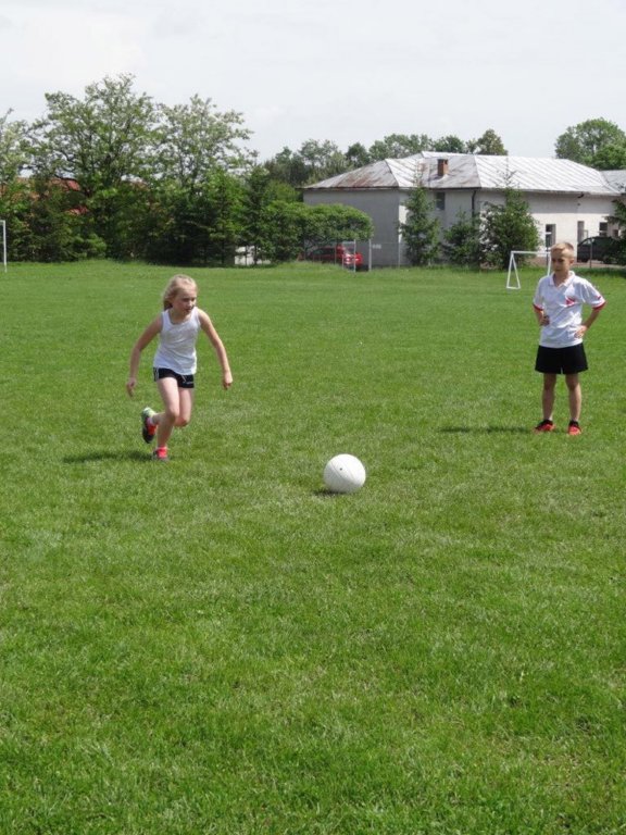 dsc07830.jpg