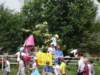 dsc07831_small.jpg