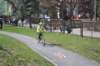 dsc_0072_small.jpg