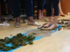 dsc02484_small.jpg