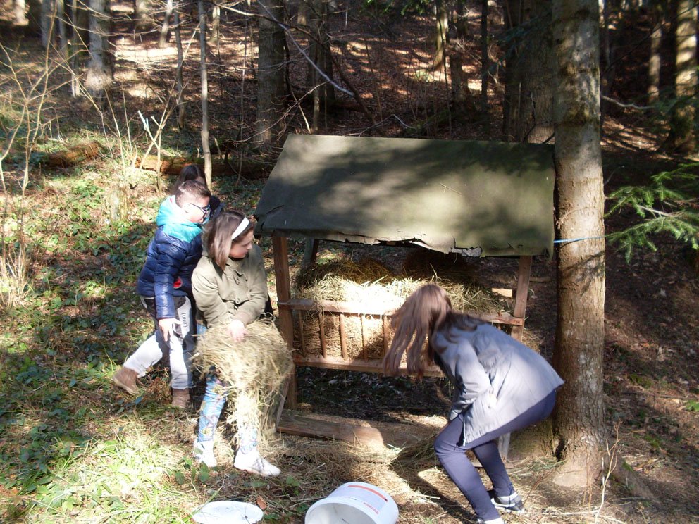 sdc12559.jpg