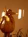 sdc12641_small.jpg