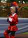 p1200427_small.jpg