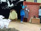 dsc03138_small.jpg