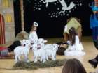 dsc03181_small.jpg