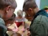 dsc06415_small.jpg