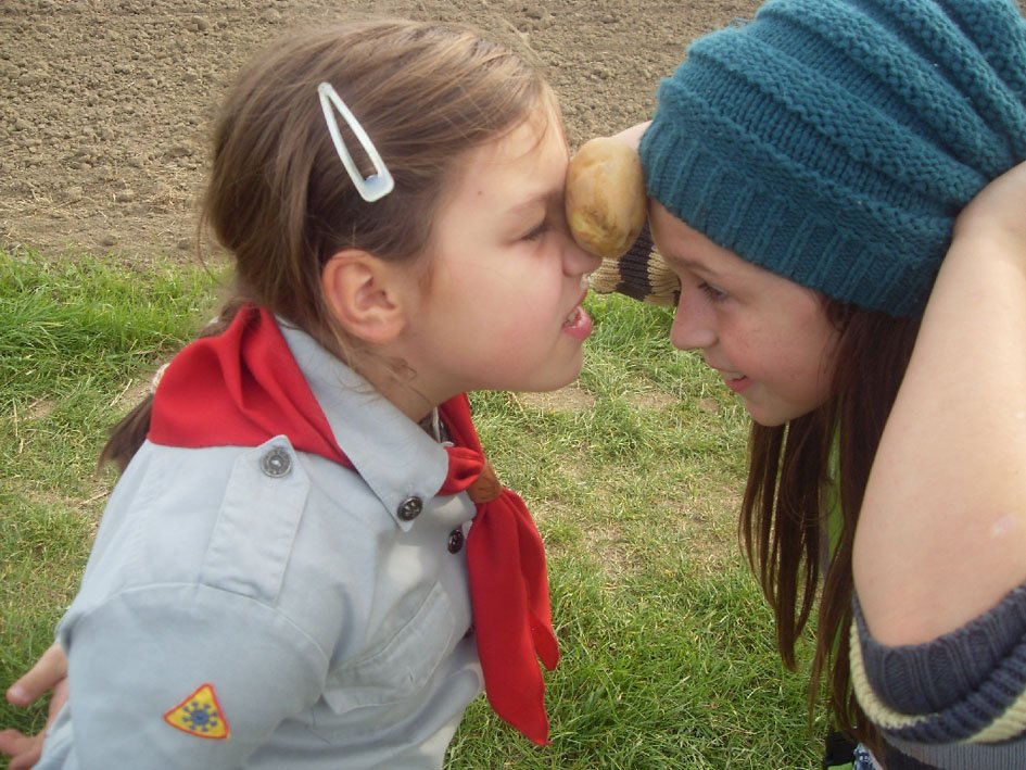 sdc12669.jpg