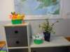 dsc07674_small.jpg