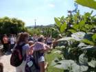 dscn7833_small.jpg
