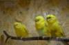 dsc_1910_small.jpg