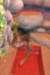 dsc_1921_small.jpg
