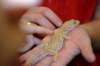 dsc_1924_small.jpg