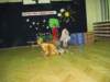 img_4381_small.jpg