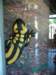 dscf3036_small.jpg