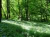 dscf3041_small.jpg