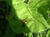 dscf3050_small.jpg