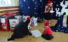 dsc06624_small.jpg