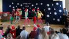 dsc06208_small.jpg
