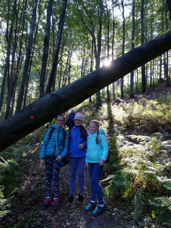 img_20181005_100813.jpg
