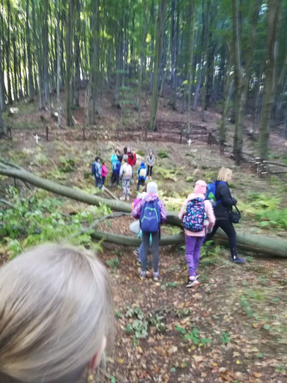 img_20181005_111548.jpg