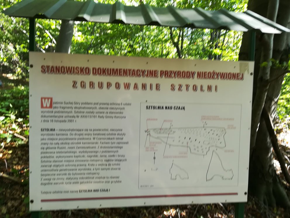 img_20181005_114026.jpg