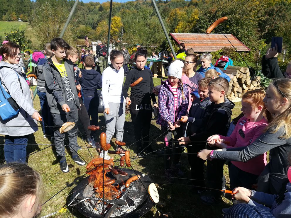 img_20181005_120333.jpg