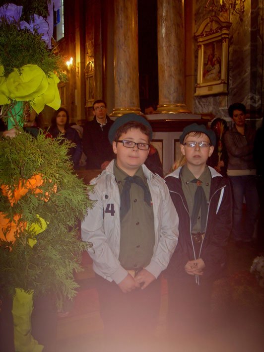 sdc12988.jpg