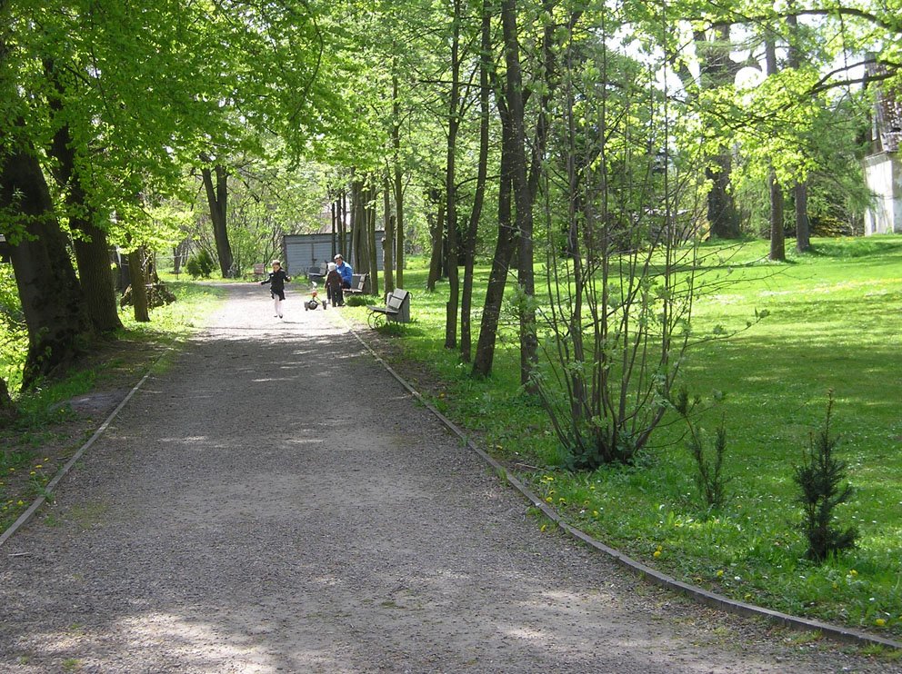 p1010191.jpg