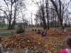 dsc01273_small.jpg