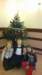 wp_20151228_15_44_31_pro_small.jpg