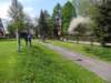 dsc07637_small.jpg