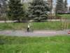 dsc02659_small.jpg