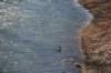 dsc_0282_small.jpg