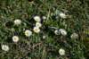 dsc_0300_small.jpg