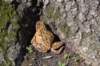 dsc_0316_small.jpg