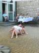 img_20190611_132635_small.jpg