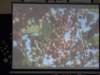 dsc06925_small.jpg