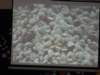 dsc06928_small.jpg