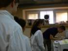 p1140463_small.jpg