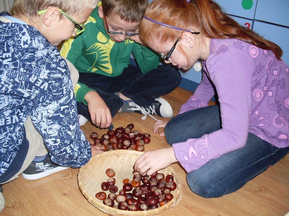 sdc10311.jpg
