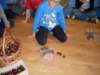 sdc10324_small.jpg