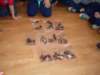 sdc10327_small.jpg
