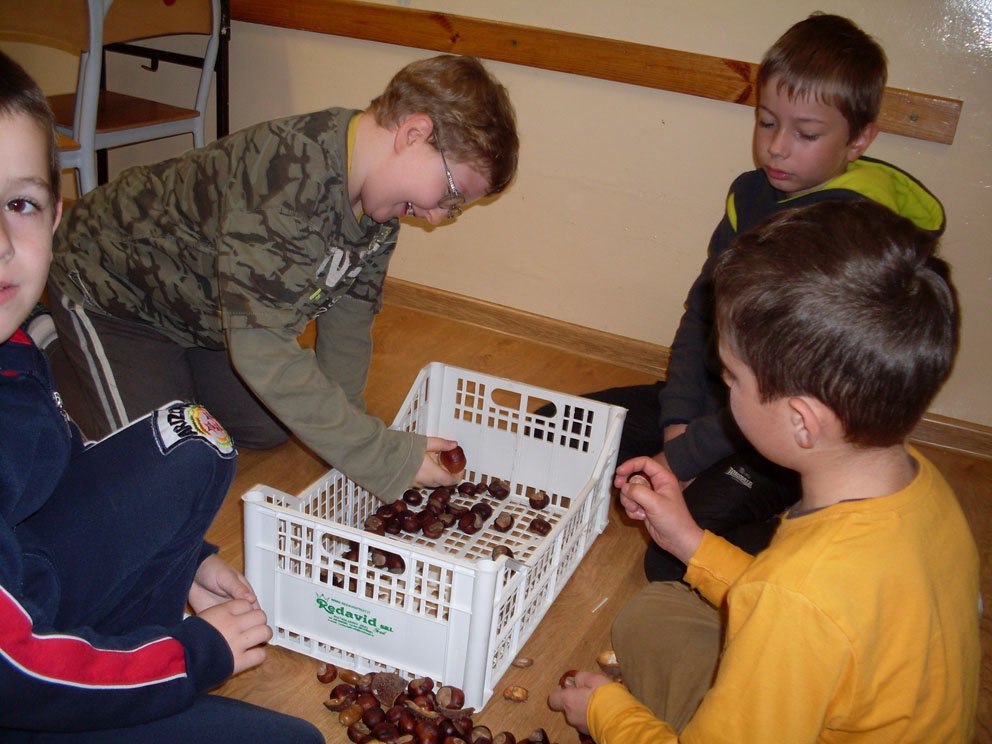 sdc10340.jpg