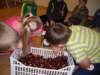 sdc10344_small.jpg